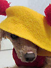 Photo_4